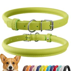 Lime Green Dog Collar